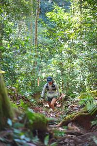 BIB: 
                            <button type="button" onclick="openModal(19333561)" class="btn btn-primary btn-sm float-right btn-popup" data-toggle="modal" data-target=".modal-high-quality">
                        <i class="fas fa-shopping-cart"></i> Add to Cart
                    </button>
                                            <button type="button" onclick="isThisMe(19333561, true)" class="btn btn-success btn-sm float-right btn-popup btn-isme hidden" data-toggle="tooltip" data-placement="bottom" title="นี่คือรูปของคุณใช่ไหม คลิกที่นี่เพื่อเอาเข้าอัลบั้ม">
                        <i class="fas fa-plus"></i> Add to album
                    </button>
                    <button type="button" onclick="isThisMe(19333561, false)" class="btn btn-warning btn-sm float-right btn-popup btn-isnotme hidden">
                        <i class="fas fa-ban"></i> Remove from album
                    </button>